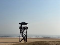 -日照海滨国家森林公园