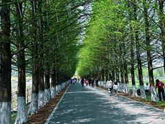 -嘉北郊野公园