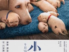 -金逸影城(大悦城IMAX激光店)