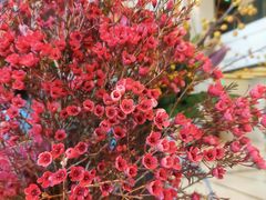 -广交会威斯汀酒店