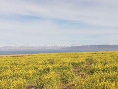 -青海湖国家重点风景名胜区