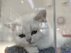 -龟与熊猫宠物公园(南坪店)