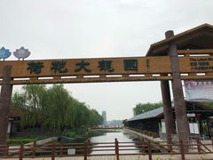 -白洋淀景区