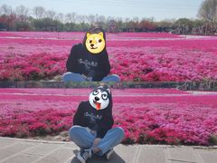 -石家庄市植物园