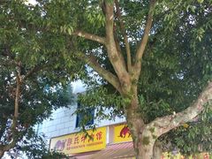 -颜氏牛肉馆