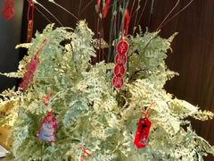 -喜湘宴·精致湖南菜(和平西桥店)