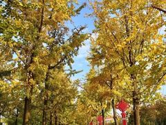 -金陵图书馆