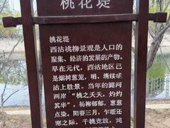 -桃花堤公园