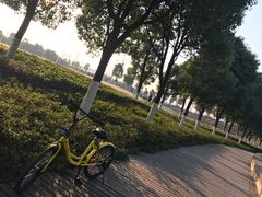 -紫霞湖公园