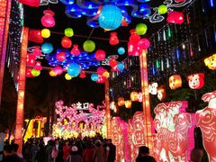 -欢乐海岸椰林沙滩-2025湾区超级灯会