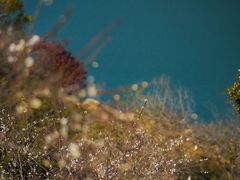 -广州市流溪河国家森林公园