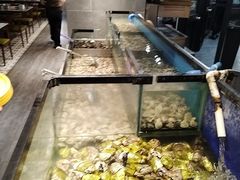 -遇上西雅图多融合海鲜自助餐厅(中房金谊广场店)