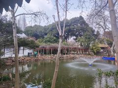 -上海醉白池公园