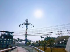 -百万葵园