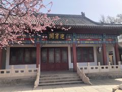 -桃花堤公园