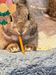 -Zoolung Zoolung动物主题公园(海信广场店)