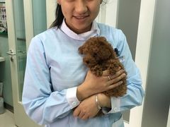 -纳吉亚猫专科动物医院博雅分院