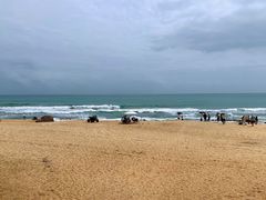 -日月湾海门游览区