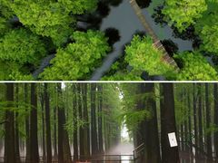 -渌洋湖湿地公园