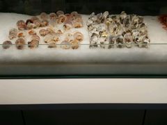 -鑫海汇海鲜烤肉火锅自助(七彩城店)