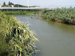 -马陆小张葡萄园农家乐