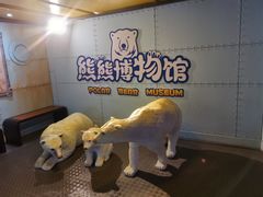 -海合安武汉极地海洋公园