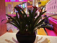 -炭火集市·烧烤·烤肉大排档(天津北路店)