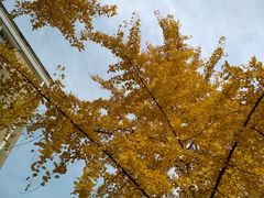 -四川大学(华西校区)