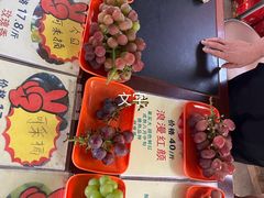 -马陆小张葡萄园农家乐