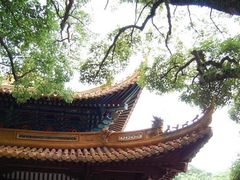 -普陀山风景名胜区-法雨禅寺