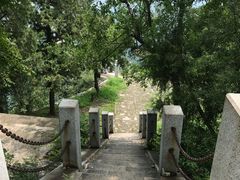 -北京鹫峰国家森林公园
