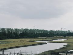 -溱湖国家湿地公园