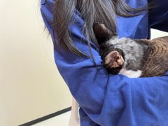 -御宝贝24h宠物医院·转诊中心·CT核磁血透中心(厦门总院)