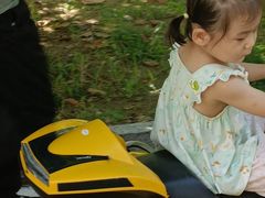 -西部长青自然儿童乐园