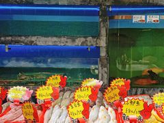 -旺达·福州菜(正大广场店)