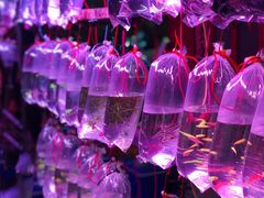 -华声天桥民俗文化园