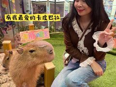 -正佳雨林生态植物园