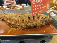 红烧黄河大鲤鱼-杏花村水席楼·洛阳水席(老城十字街店)