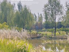 -东郊湿地公园