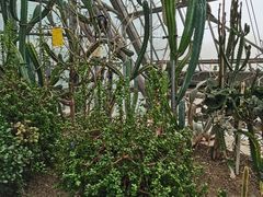 -南山植物园