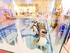 -保利MALL(天鹅湖店)