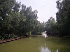 -大湾区中央湿地公园