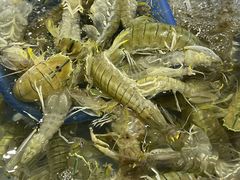 -花乐餐厅(涠洲岛店)