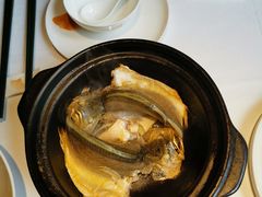 -菉雅苑·湛江菜(前海卓越INTOWN店)
