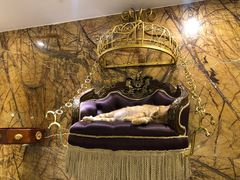 -more than meow吴止猫主题餐厅(承德 中船汇店)