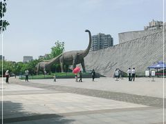 -安徽省地质博物馆