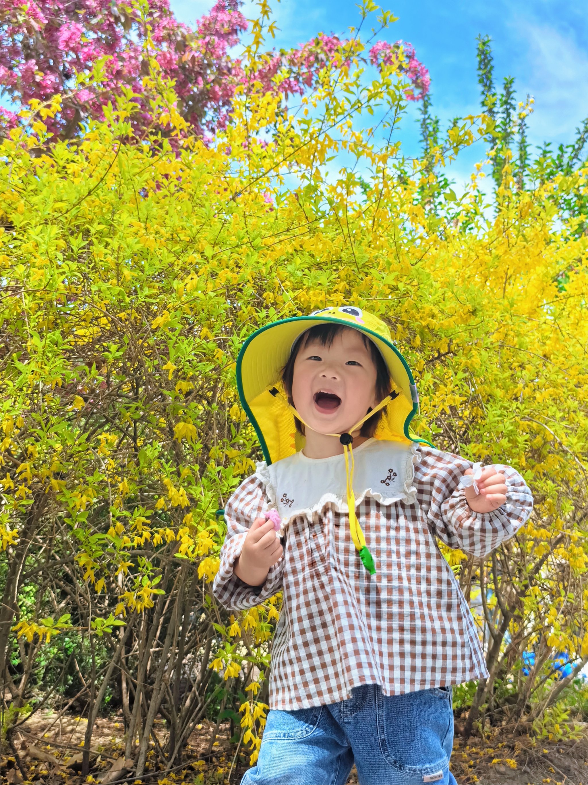 花园宝宝太阳升起图片