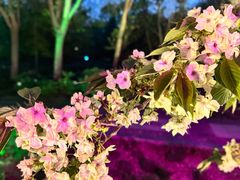 -洛阳市隋唐城遗址植物园