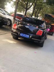 -蚂蚁婚车