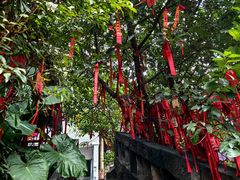 -重庆十八梯传统风貌区